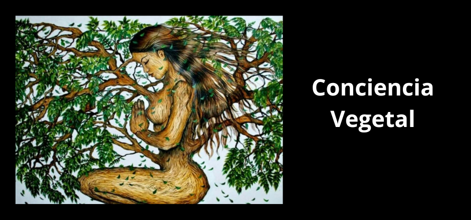 ilustración de mujer con ramas de árbol saliendo de su cuerpo