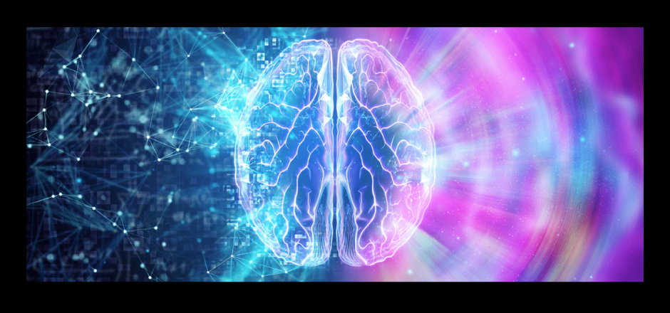 imagen de los dos hemisferios cerebrales del ser humano